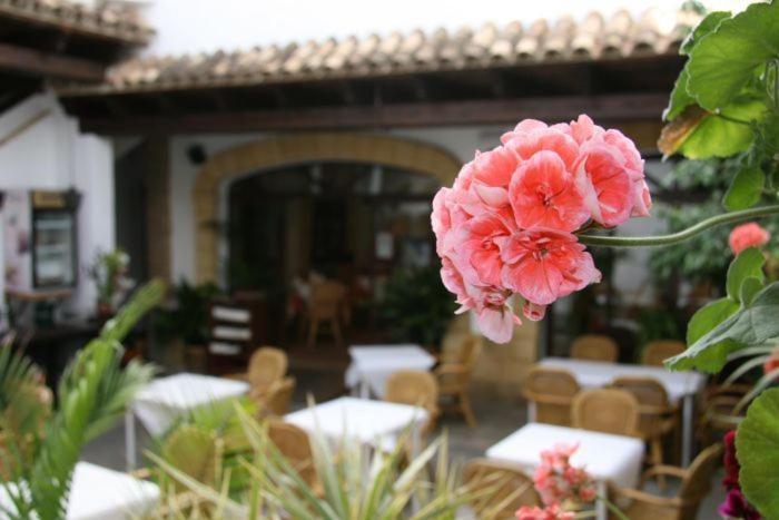 Hostal Torre De Guzman Conil De La Frontera Zewnętrze zdjęcie